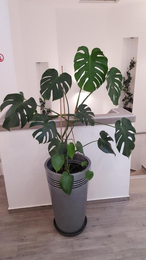 Centar Vodice Apartmani Exteriör bild